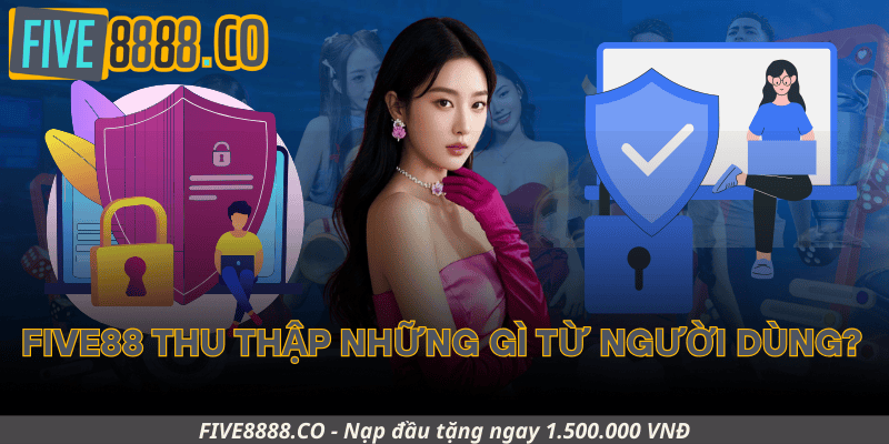 Five88 Thu Thập Những Gì Từ Người Dùng?