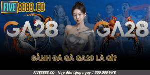 Sảnh Đá Gà GA28 Là Gì?
