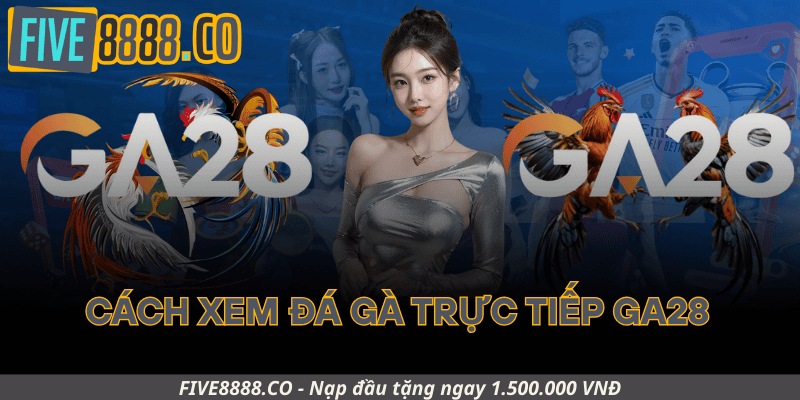 Hướng Dẫn Cách Xem Đá Gà Trực Tiếp GA28 Trên Five88