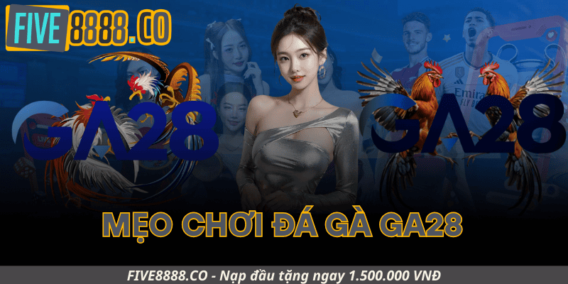 Mẹo Chơi Đá Gà GA28 Dành Cho Người Mới