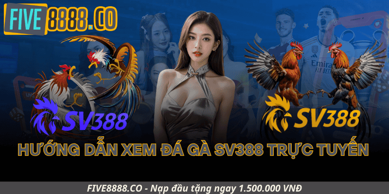 Hướng Dẫn Xem Đá Gà SV388 Trực Tuyến