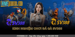 Kinh Nghiệm Chơi Đá Gà SV388 Dành Cho Người Mới