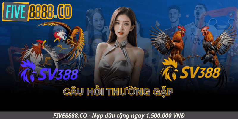 Câu Hỏi Thường Gặp