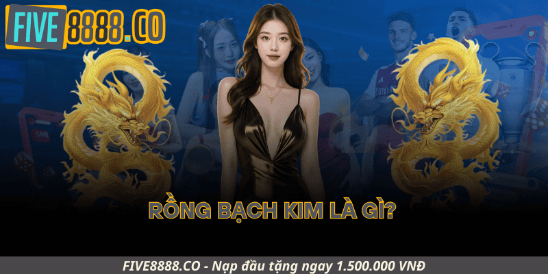 Rồng Bạch Kim Là Gì?