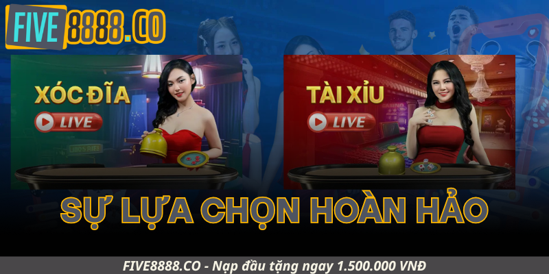 Sự lựa chọn hoàn hảo
