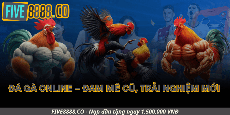 Đá Gà Online – Đam Mê Cũ, Trải Nghiệm Mới